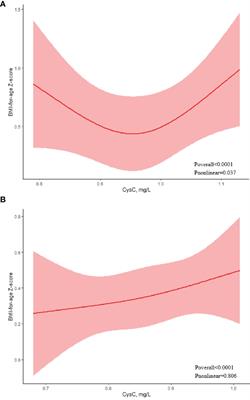 Serum Cystatin C Levels Are Associated With Obesity in Adolescents Aged 14–17 Years